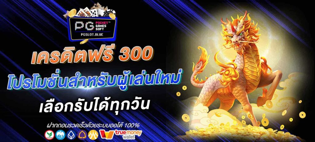 เครดิตฟรี 300